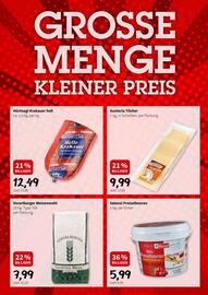 Der Grissemann Flugblatt Seite 11