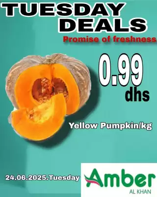 Amber catalogue (valid until 24-06)