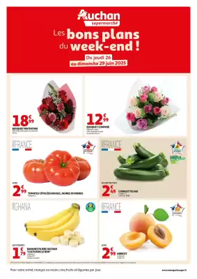 Auchan folder