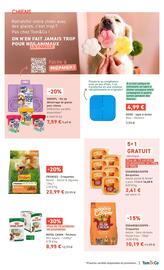 Catalogue Tom&Co page 2