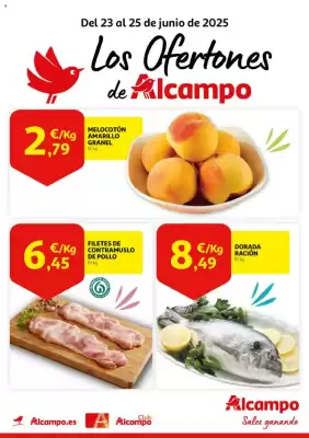 Folleto Alcampo (válido hasta el 25-06)