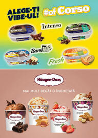 Catalog Mega Image Pagină 14