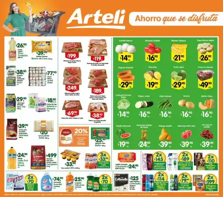 Catálogo Arteli express