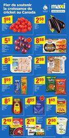 Maxi flyer week 26 Page 10