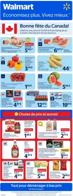 Walmart flyer (valid until 2-07)