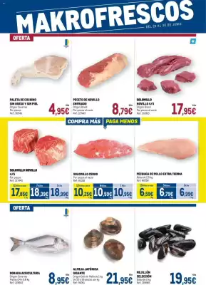 Folleto Makro (válido hasta el 30-06)