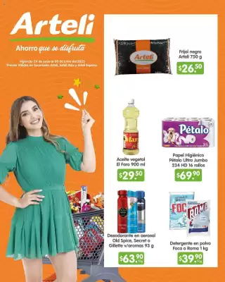 Catálogo Arteli