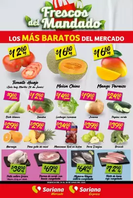Catálogo Soriana Express