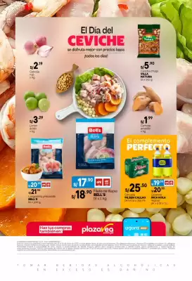 Catálogo Plaza Vea (válido hasta 29-06)