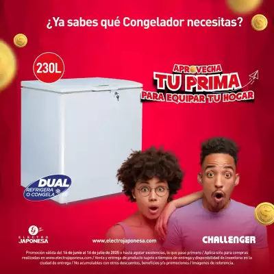 Catálogo Electrojaponesa (válido hasta 16-07)