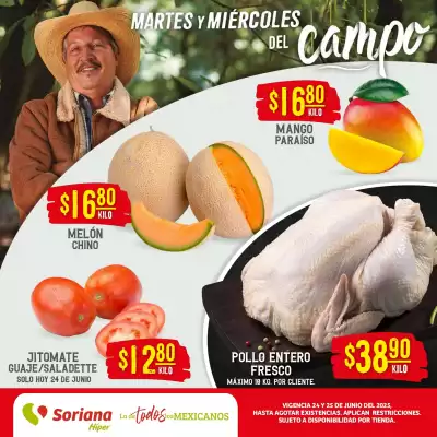 Catálogo Mega Soriana
