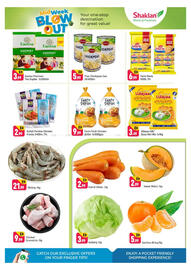Shaklan catalogue Page 2