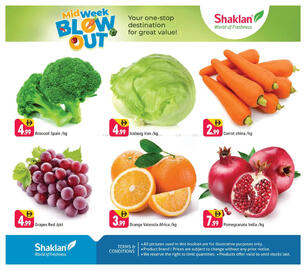 Shaklan catalogue Page 3