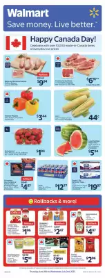 Walmart flyer (valid until 3-07)