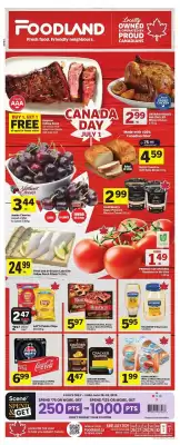 Foodland flyer (valid until 2-07)