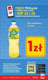 Polomarket gazetka tydzień 26 Strona 17