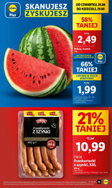 Lidl gazetka Strona 13