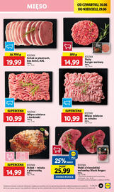 Lidl gazetka Strona 29