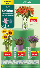 Lidl gazetka Strona 58