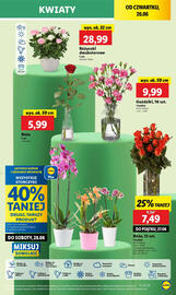 Lidl gazetka Strona 59