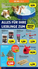 Hofer Flugblatt woche 26 Seite 28