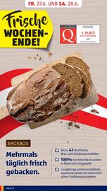 Hofer Flugblatt woche 26 Seite 4