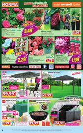 Catalogue Norma semaine 26 page 4