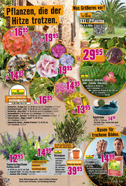 Hornbach Prospekt Seite 13