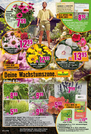 Hornbach Prospekt Seite 14