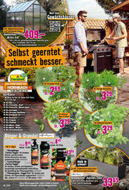 Hornbach Prospekt Seite 24