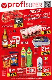 Catalog PROFI Pagină 1