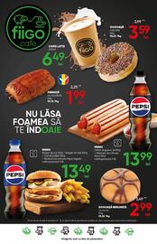 Catalog PROFI Pagină 17