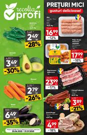 Catalog PROFI Pagină 4