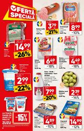 Catalog PROFI Pagină 6