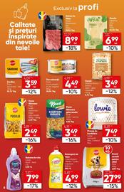 Catalog PROFI Pagină 8