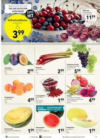 CITTI Markt Prospekt Seite 7
