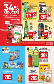 Catalog PROFI Pagină 3
