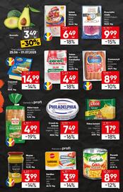 Catalog PROFI Pagină 5
