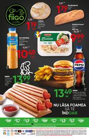 Catalog PROFI Pagină 7