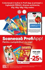 Catalog PROFI Pagină 8