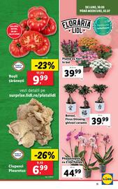 Catalog Lidl săptămâna 27 Pagină 11
