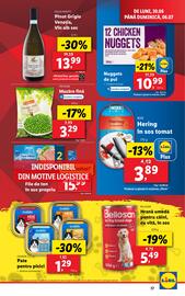 Catalog Lidl săptămâna 27 Pagină 17