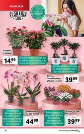 Catalog Lidl săptămâna 27 Pagină 62