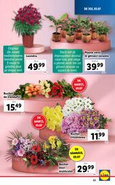 Catalog Lidl săptămâna 27 Pagină 63