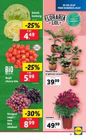 Catalog Lidl săptămâna 27 Pagină 71