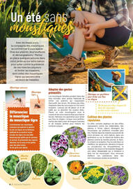 Catalogue VillaVerde page 8