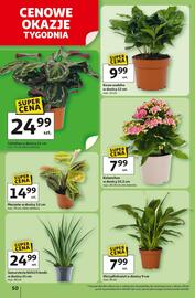 Auchan gazetka tydzień 26 Strona 54