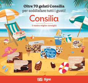 Volantino Tigre Jumbo Pagina 13