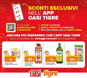Volantino Tigre Jumbo Pagina 5