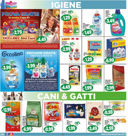 Volantino Il Castoro Supermercati Pagina 19